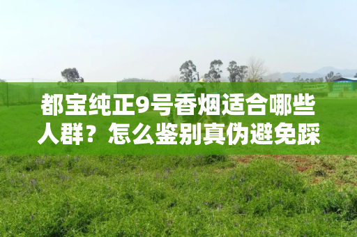 都宝纯正9号香烟适合哪些人群？怎么鉴别真伪避免踩坑？